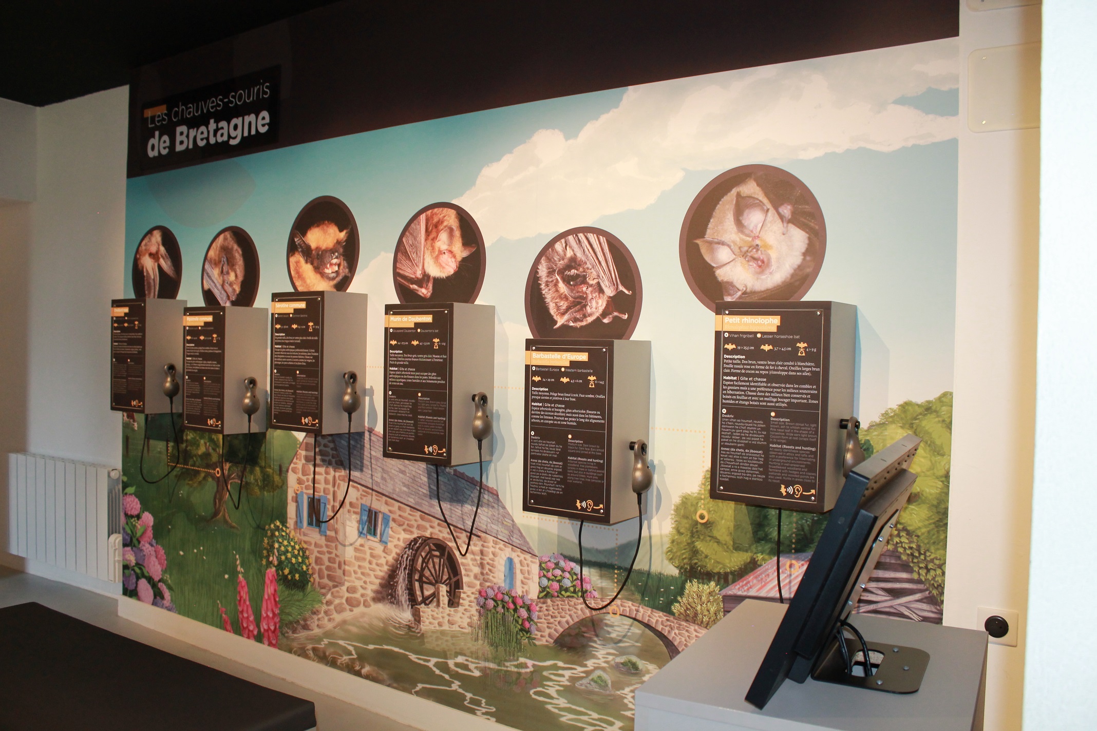 Maison de la Chauve-souris