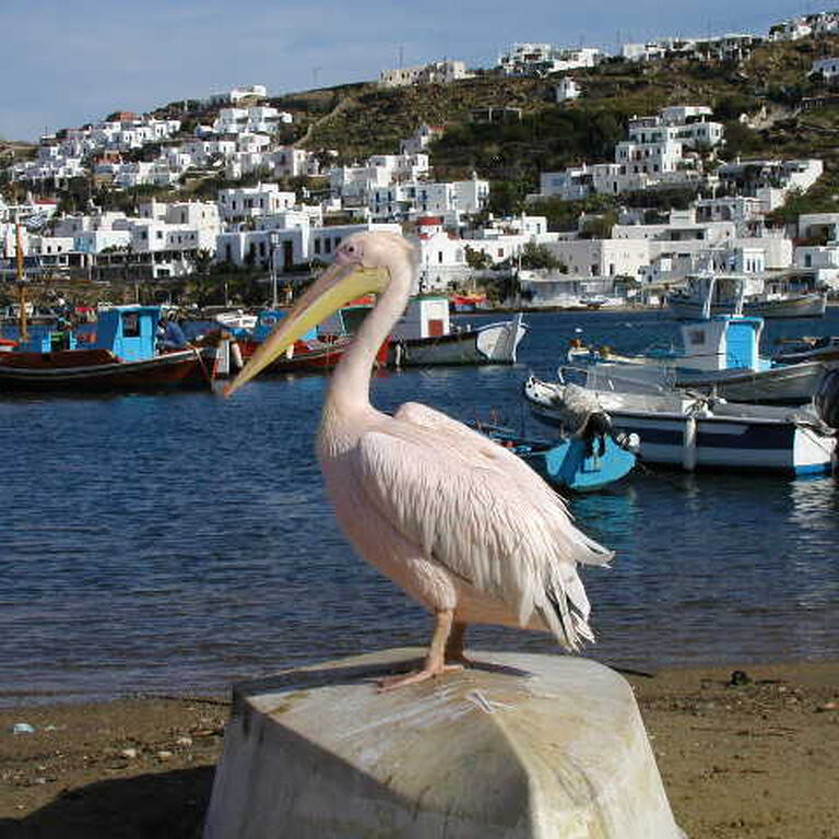 KYKLOMAR TOURS