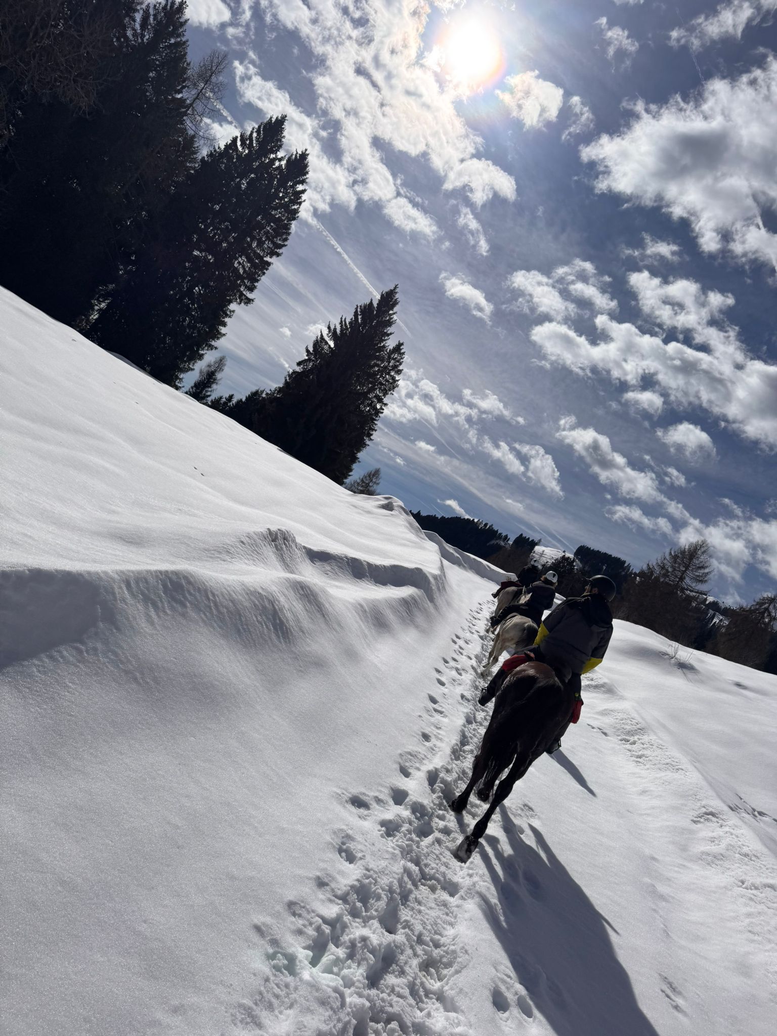 Azienda agricola Lara Gottardi