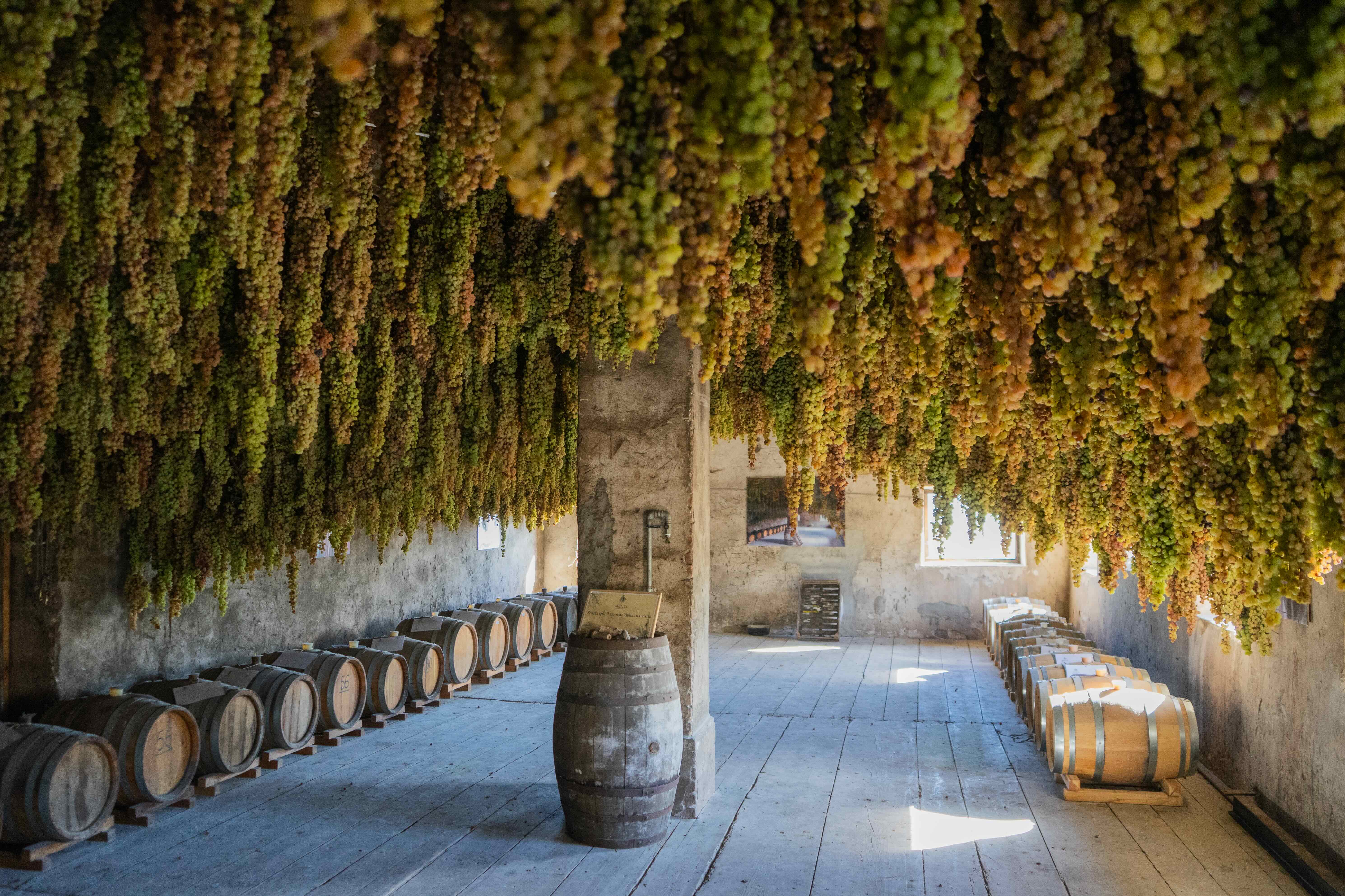 Az. Agricola Giovanni Menti