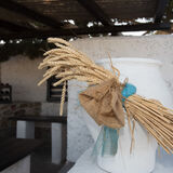 Mykonian Farm