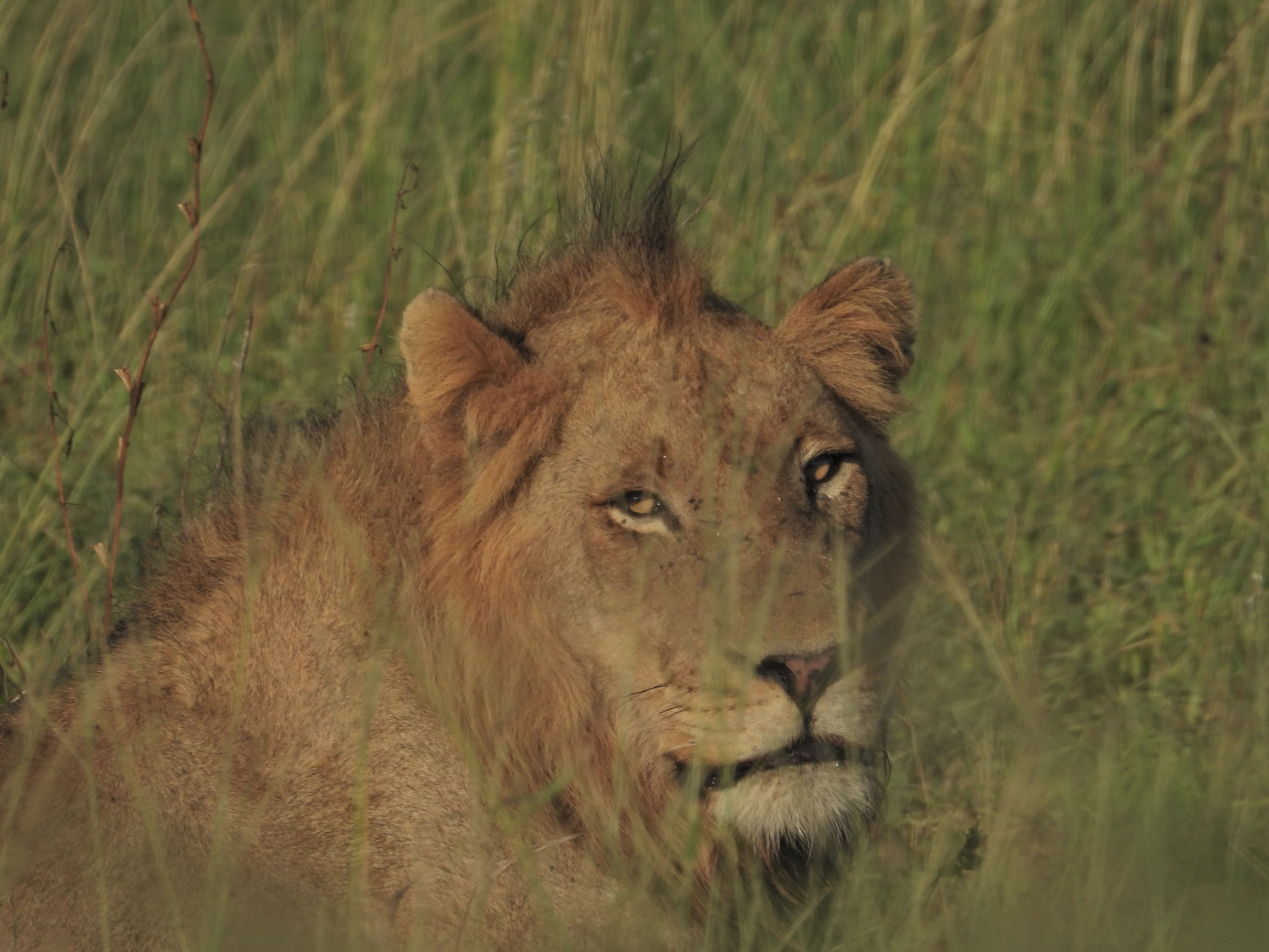 Fockema Tours South Africa