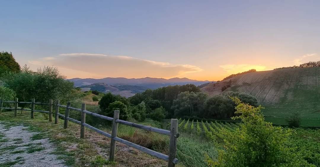 Tenuta Ca'Sciampagne