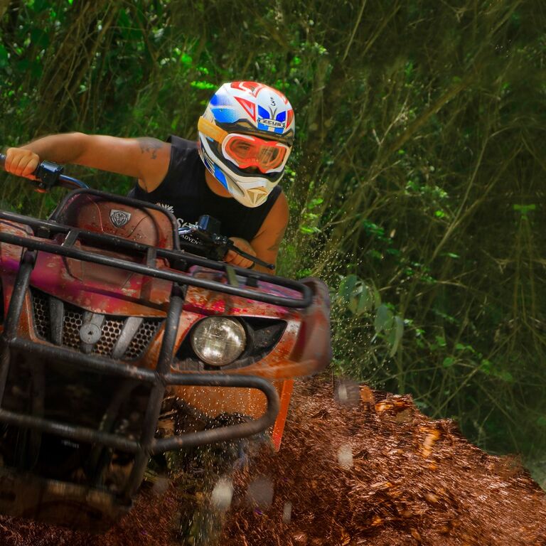Selvatica