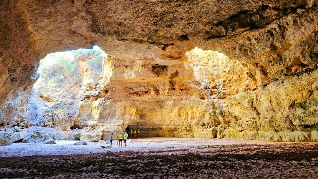 Treasure Tours - kayak tours