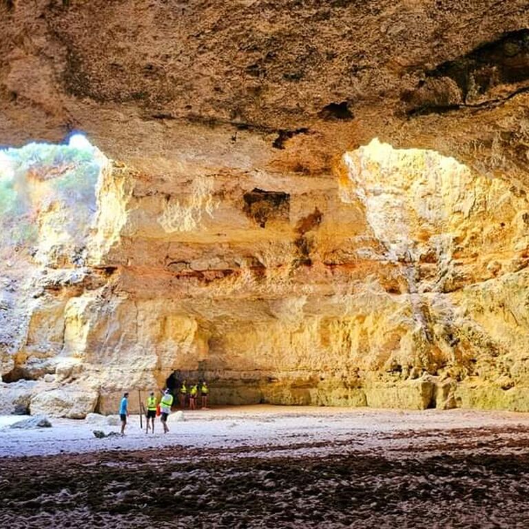 Treasure Tours - kayak tours