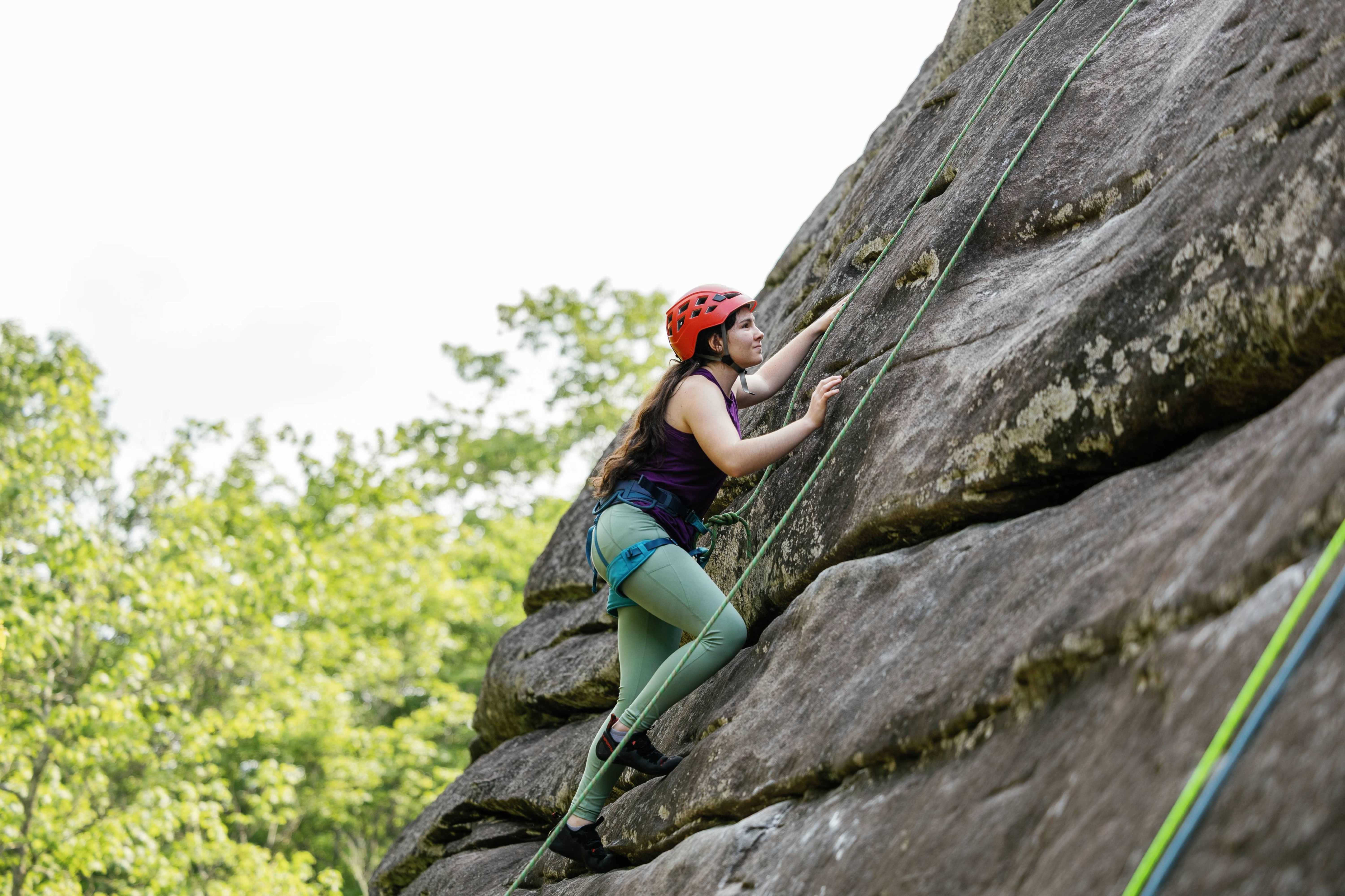 Fox Mountain Guides
