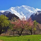 Asian Gateways Pakistan