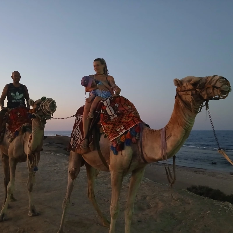 Sunny Egypt Trips