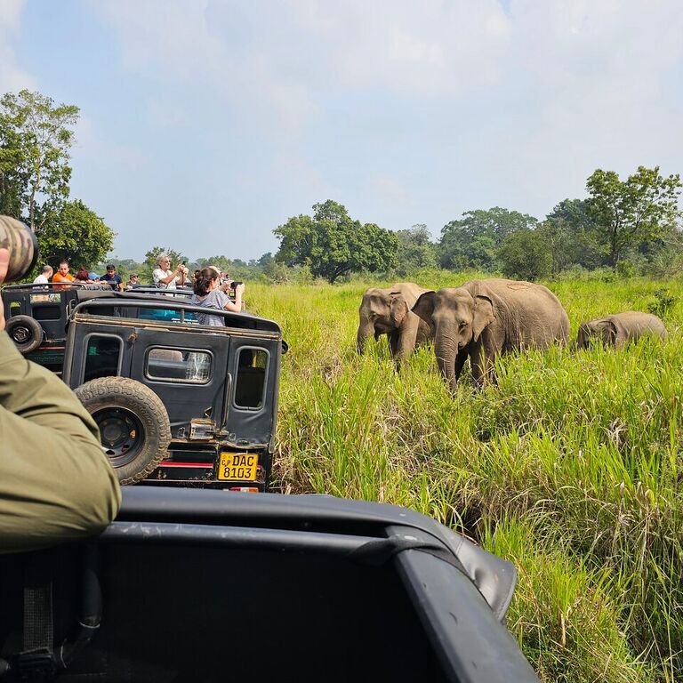 Classical Lanka Tours