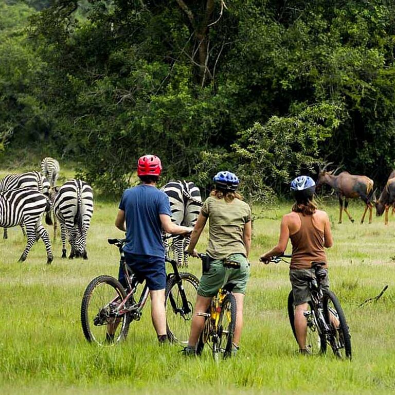 Nesta Tours Uganda