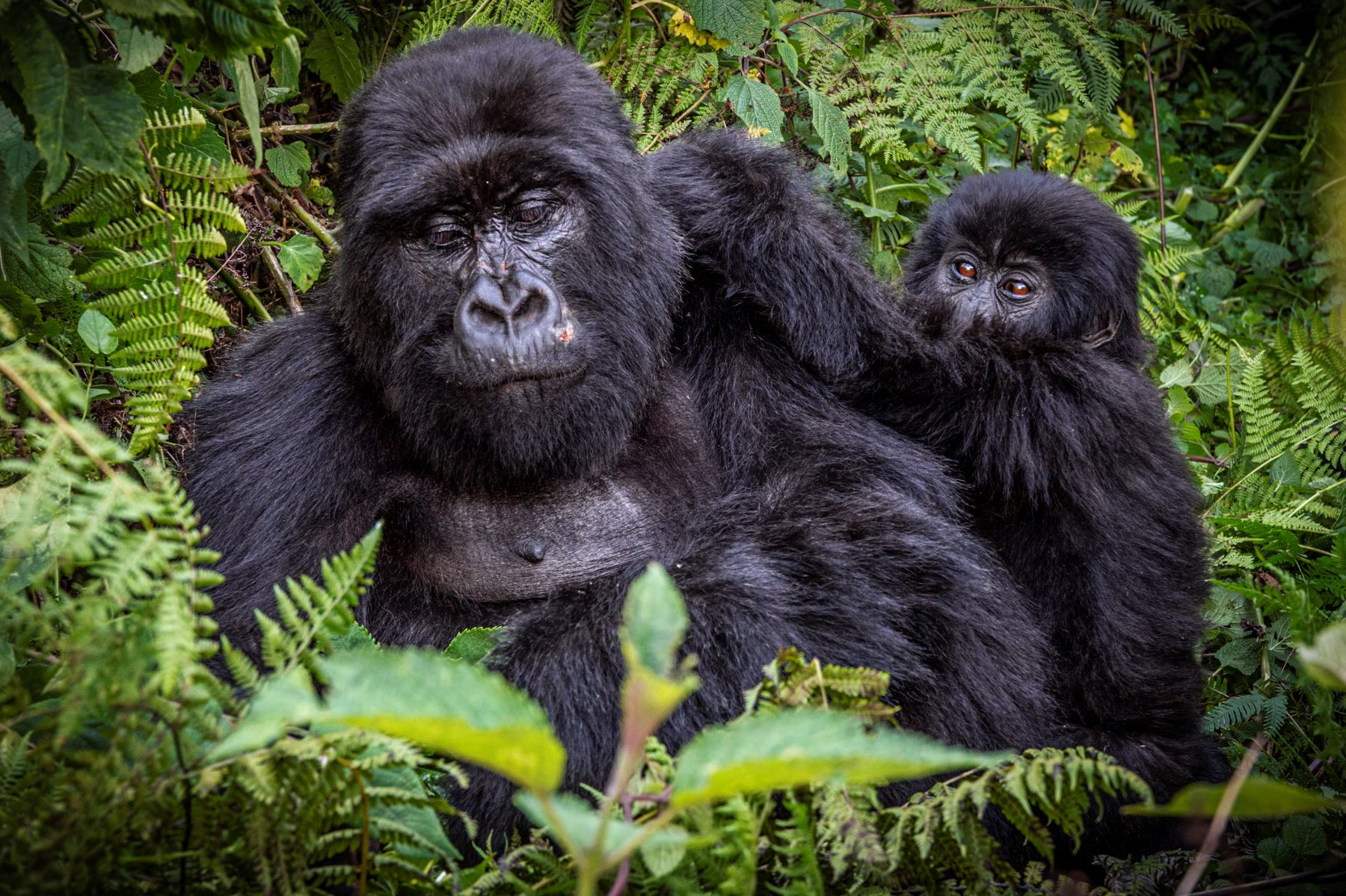 UNIQUE RWANDA VACATION EXPERTS