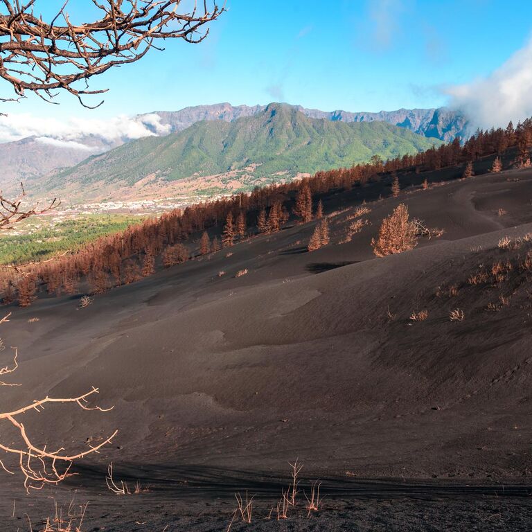 La Palma Outdoor