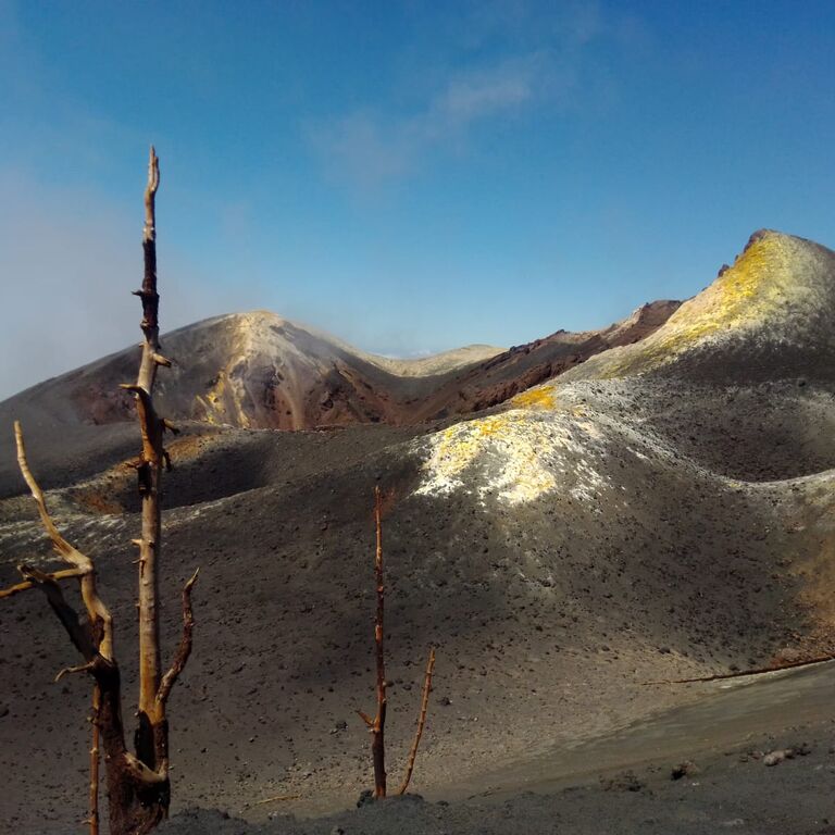 La Palma Outdoor