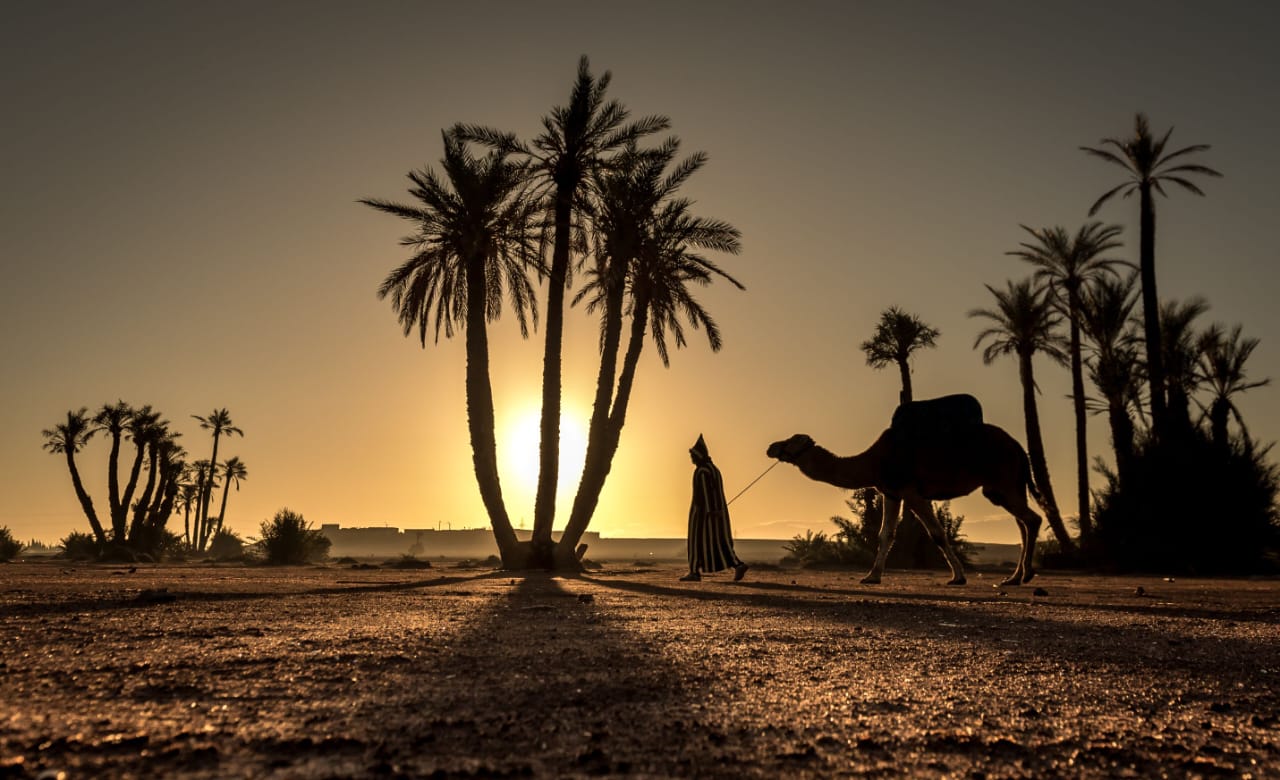 Trip Unique Morocco