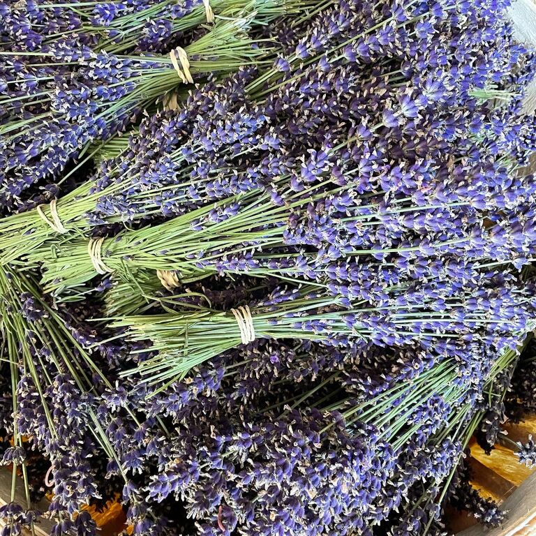 Bluewater Lavender Farm