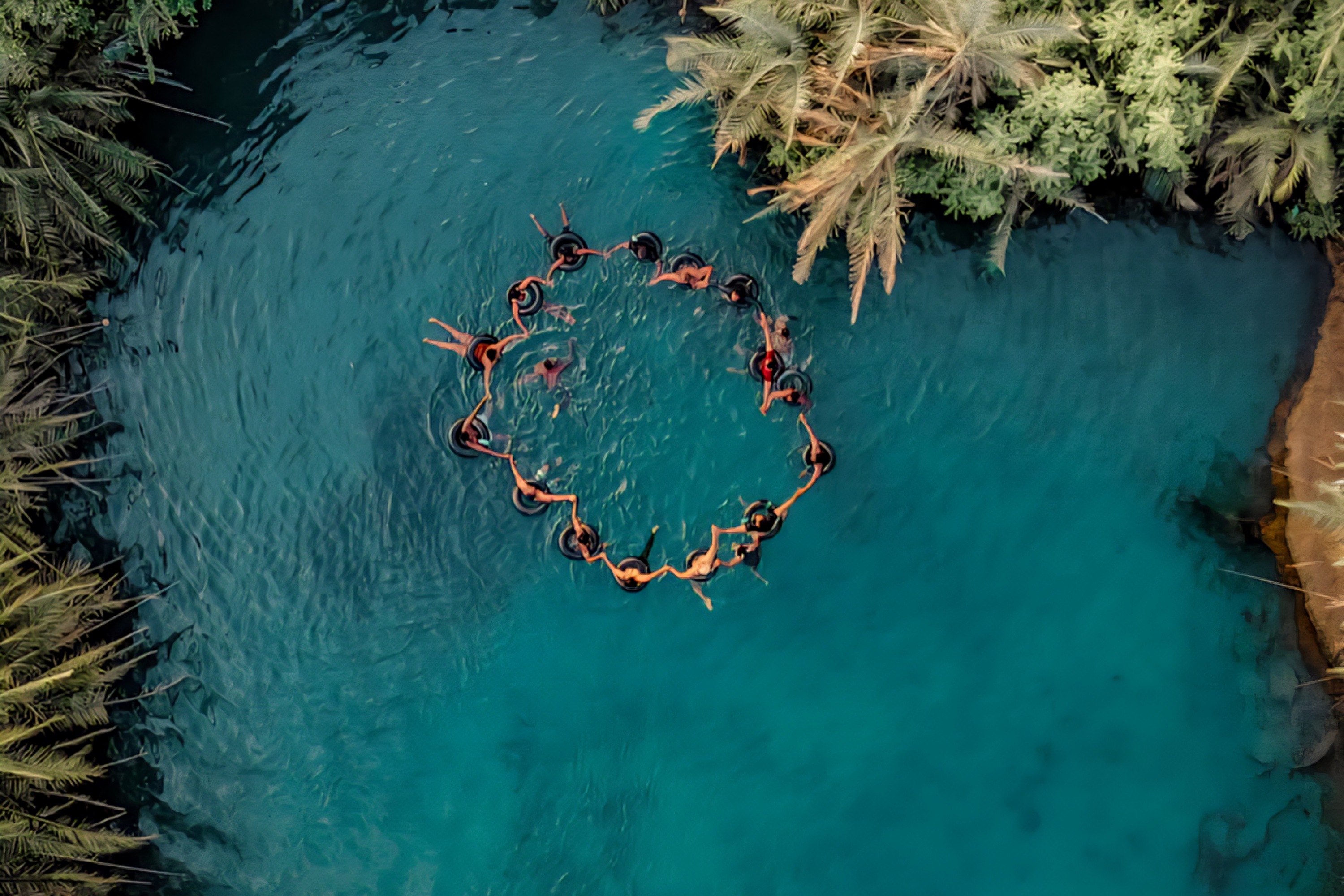 Hillborn Organic Coffee