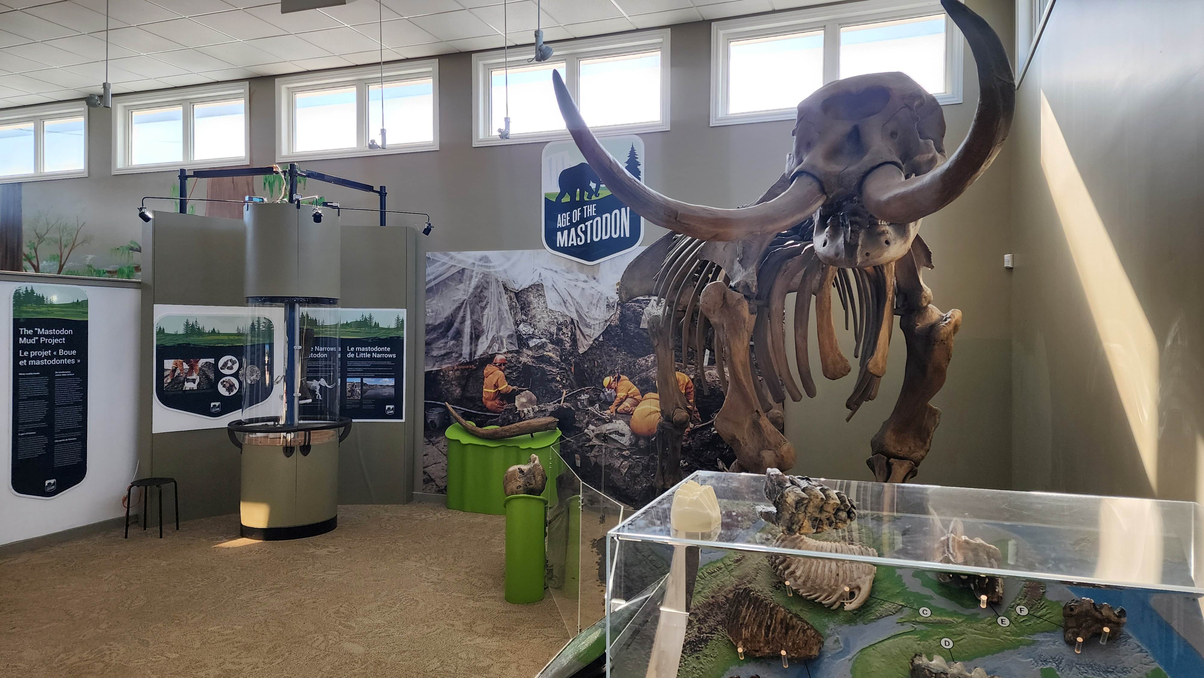 Cape Breton Fossil Centre