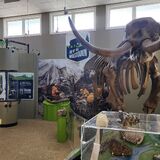 Cape Breton Fossil Centre