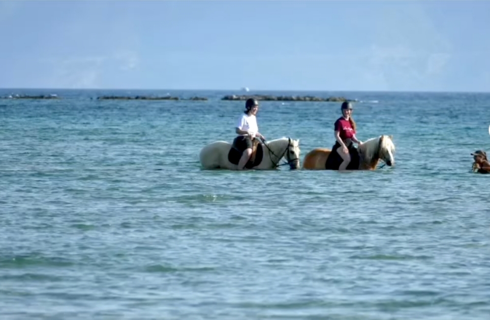 Darko World Horse Riding GR