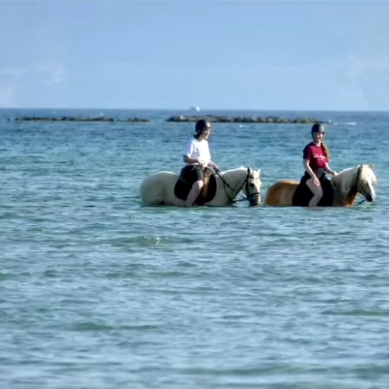 Darko World Horse Riding GR