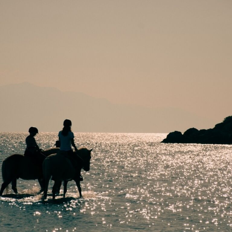 Darko World Horse Riding GR