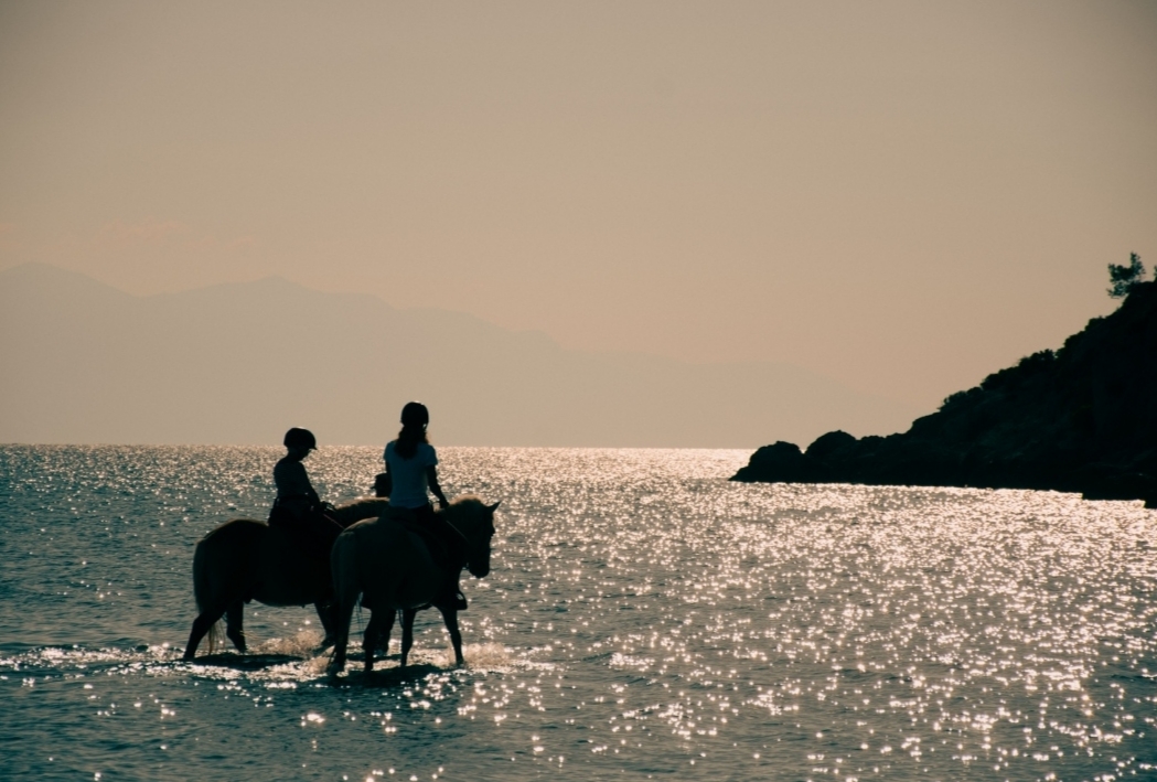 Darko World Horse Riding GR