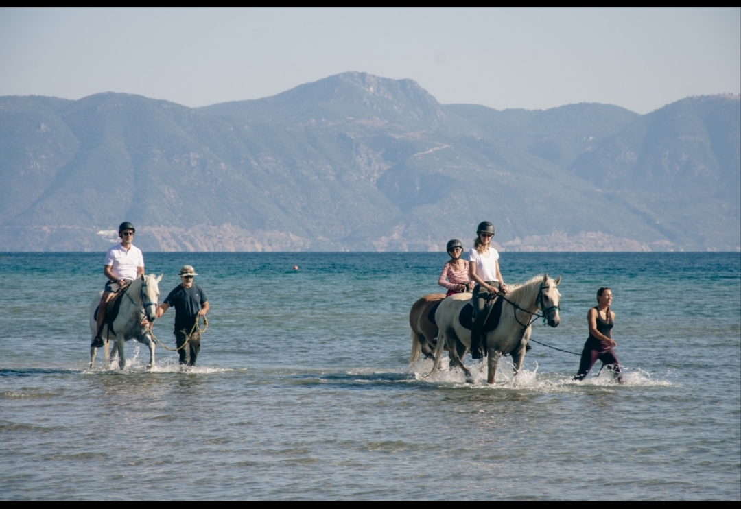 Darko World Horse Riding GR