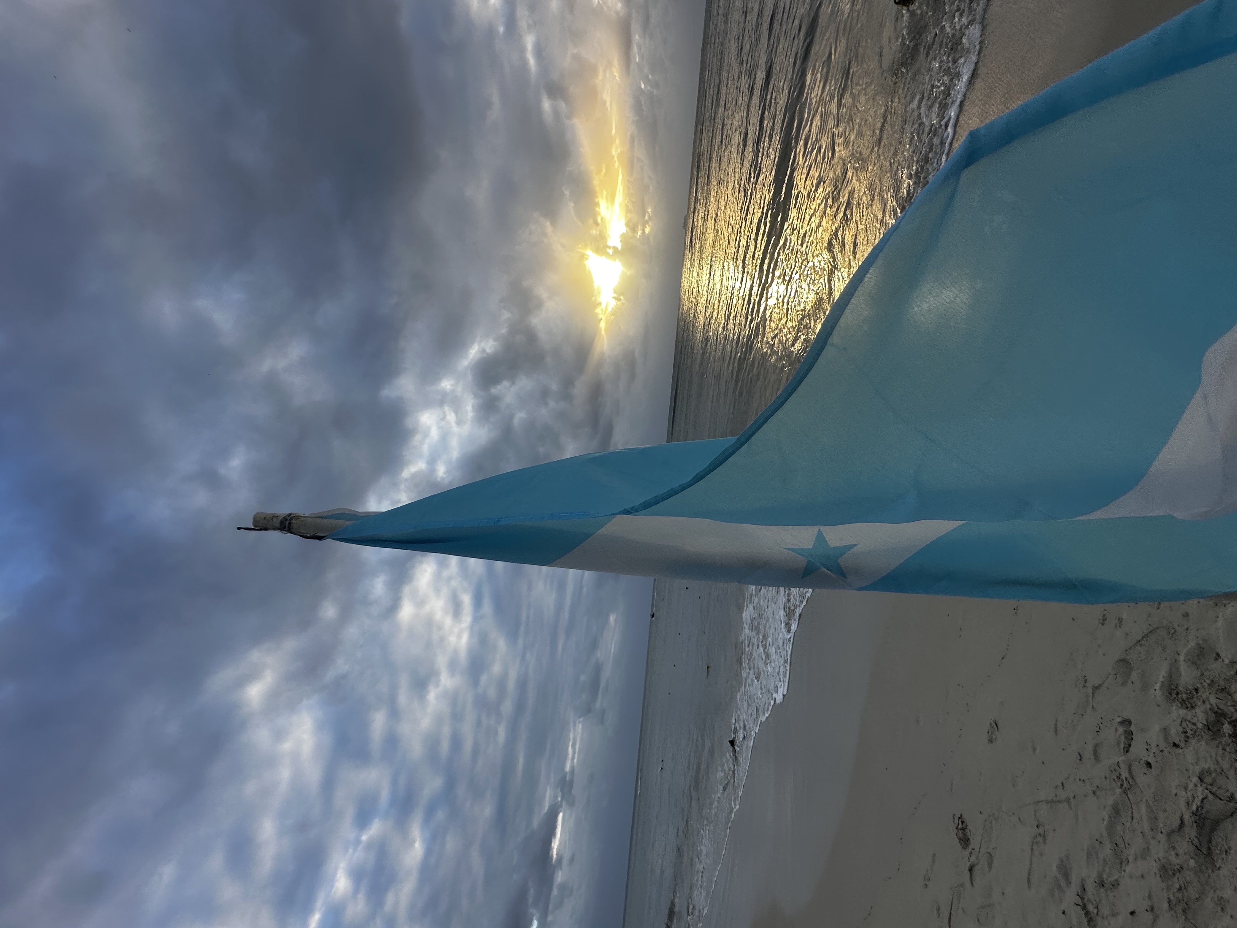 Luisito Travel Concierge