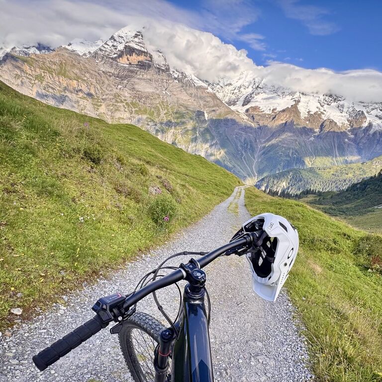 Jungfrau E-Bike Tour