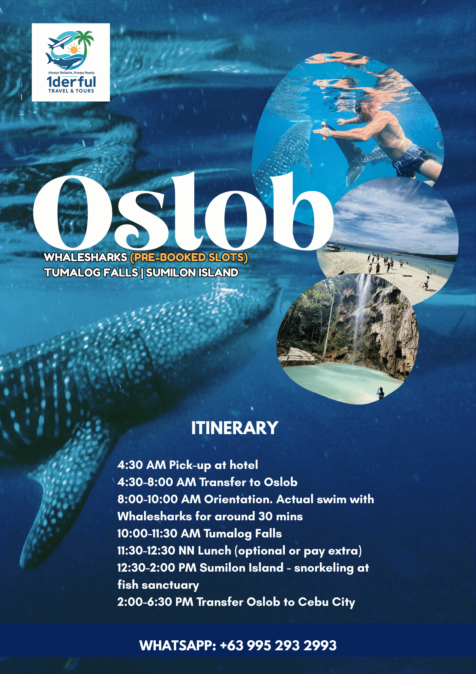 1derful Oslob Cebu Tours