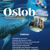 1derful Oslob Cebu Tours