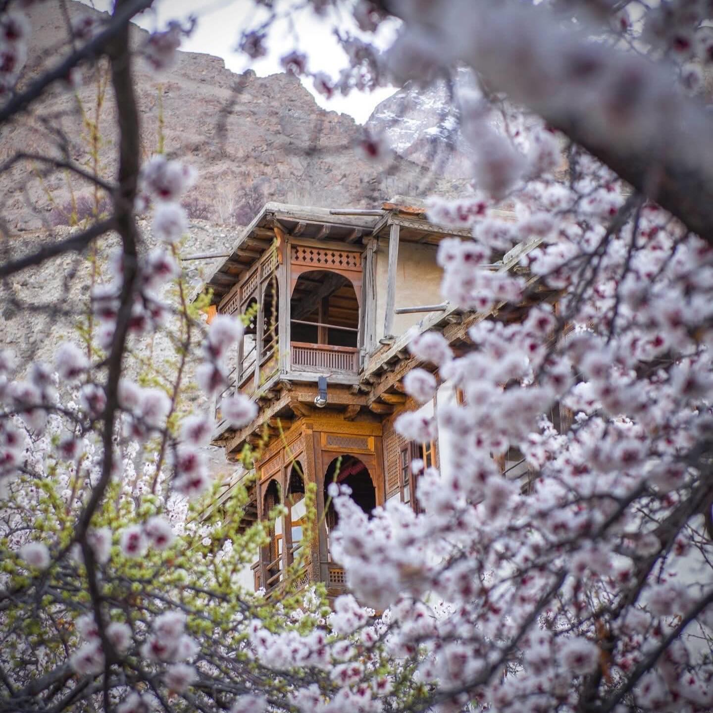 Ibex Travel & Tourism Services