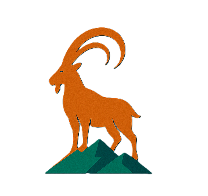 Ibex Travel & Tourism Services