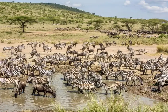 Authentic Africa Travel