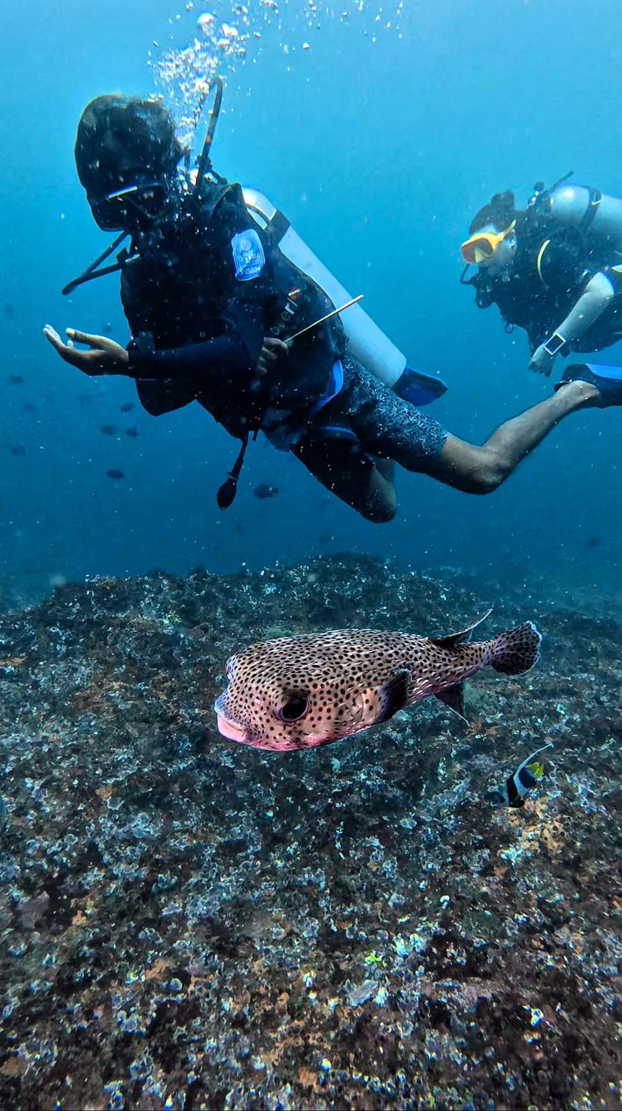 Sun Diving Center Sri Lanka