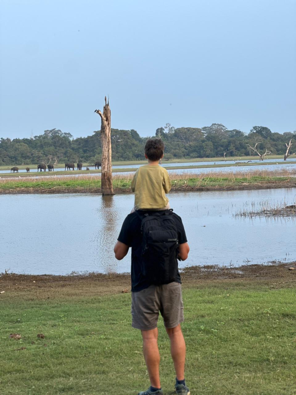 Wolley piyadasa de silva