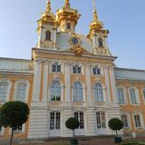 Nevavizit