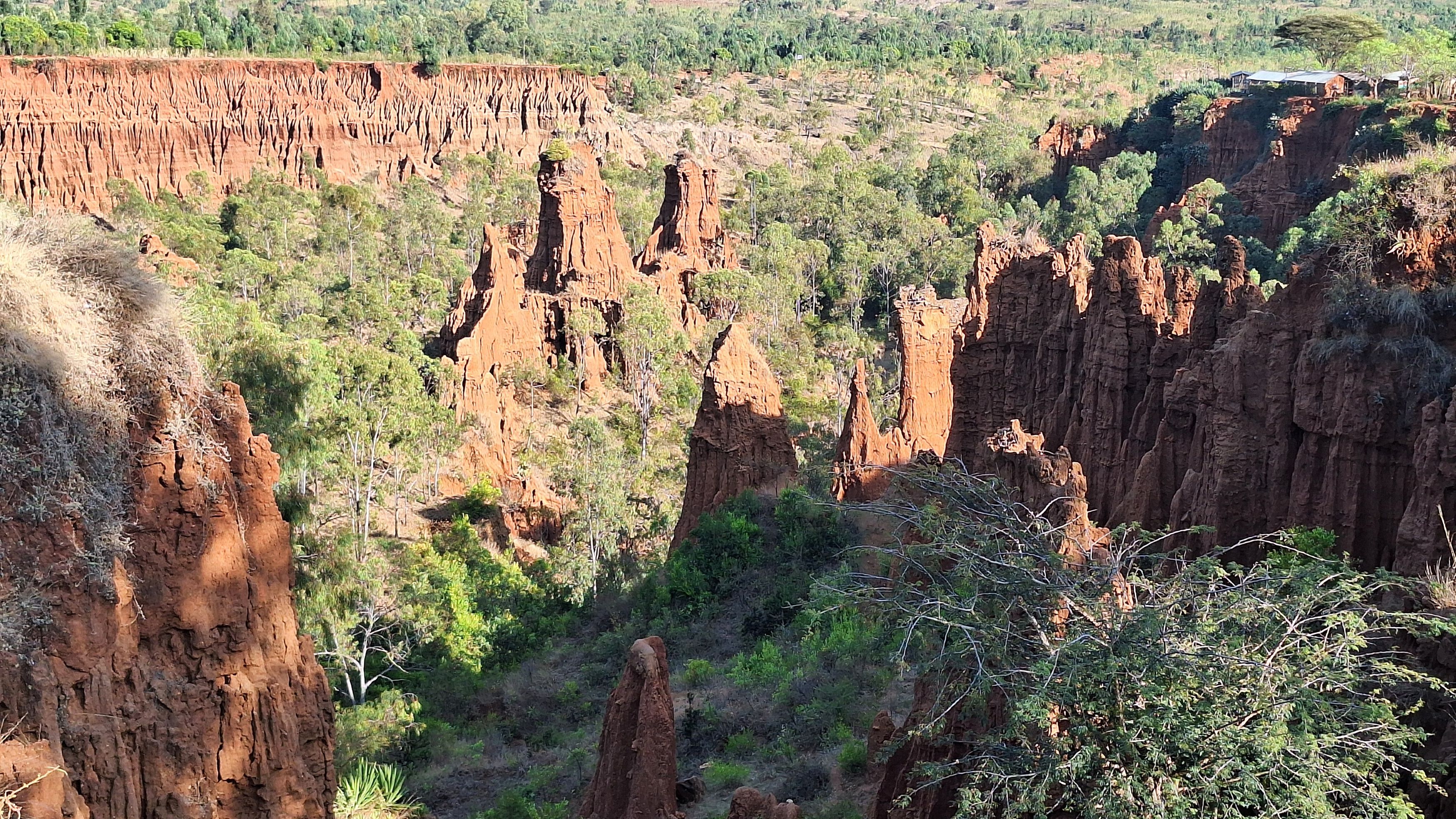 6 Day Addis & Omo Valley Tour