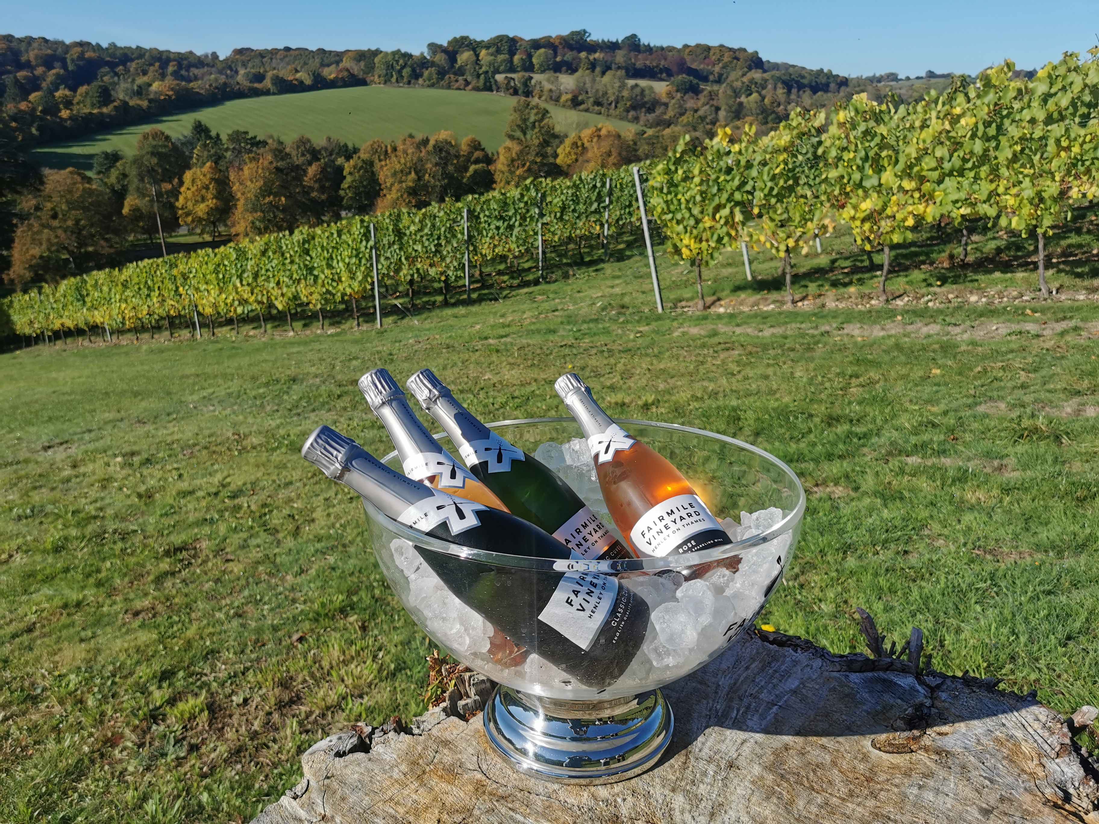 Fairmile Vineyard