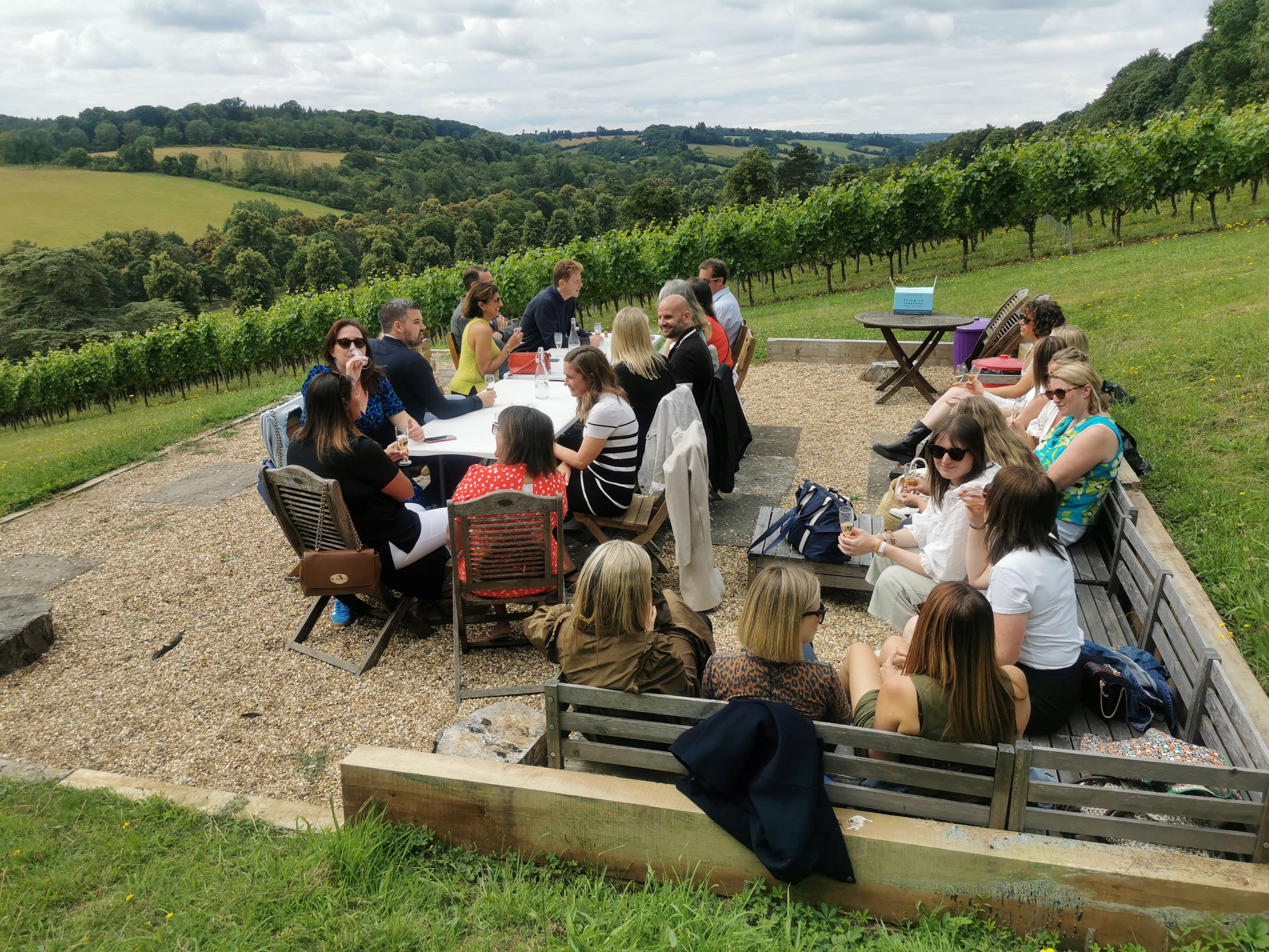Fairmile Vineyard