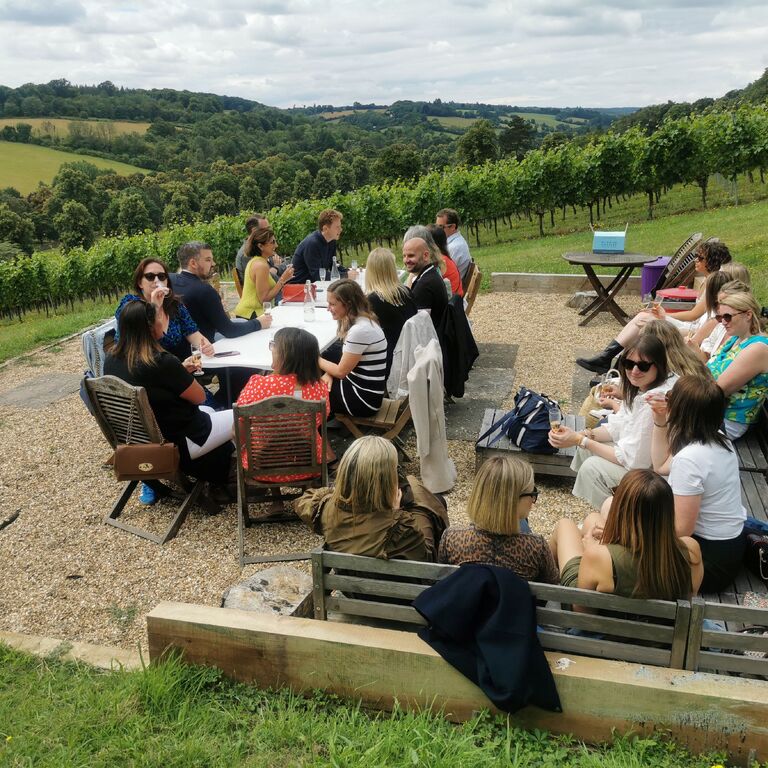 Fairmile Vineyard