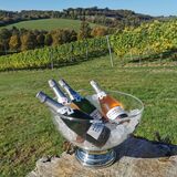 Fairmile Vineyard
