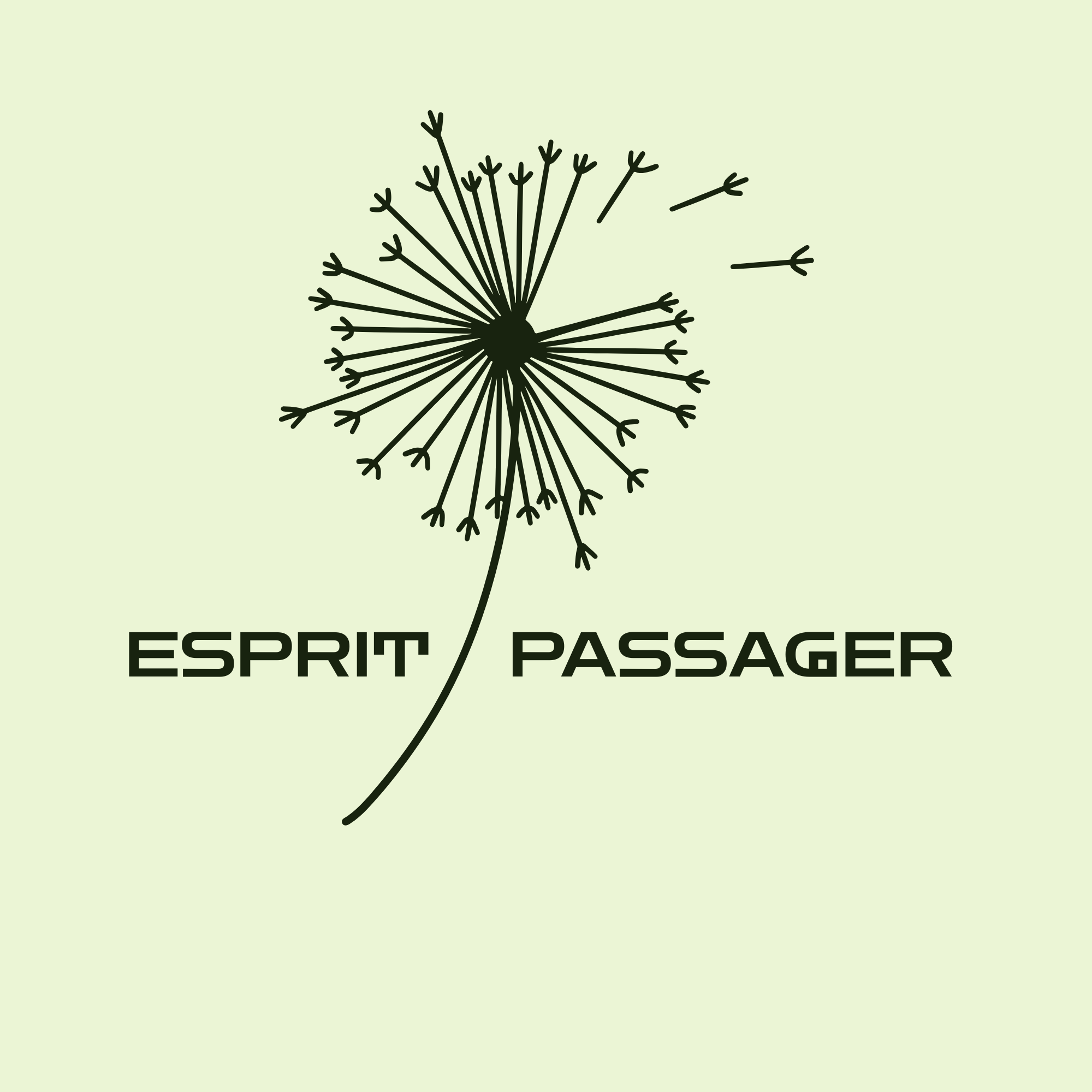ESPRIT PASSAGER