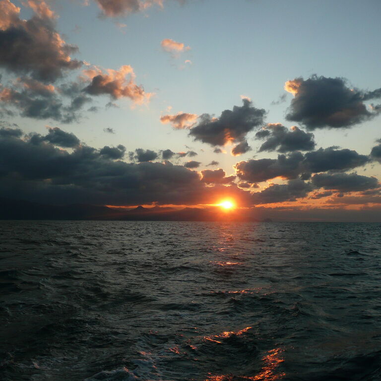 Seven Seas