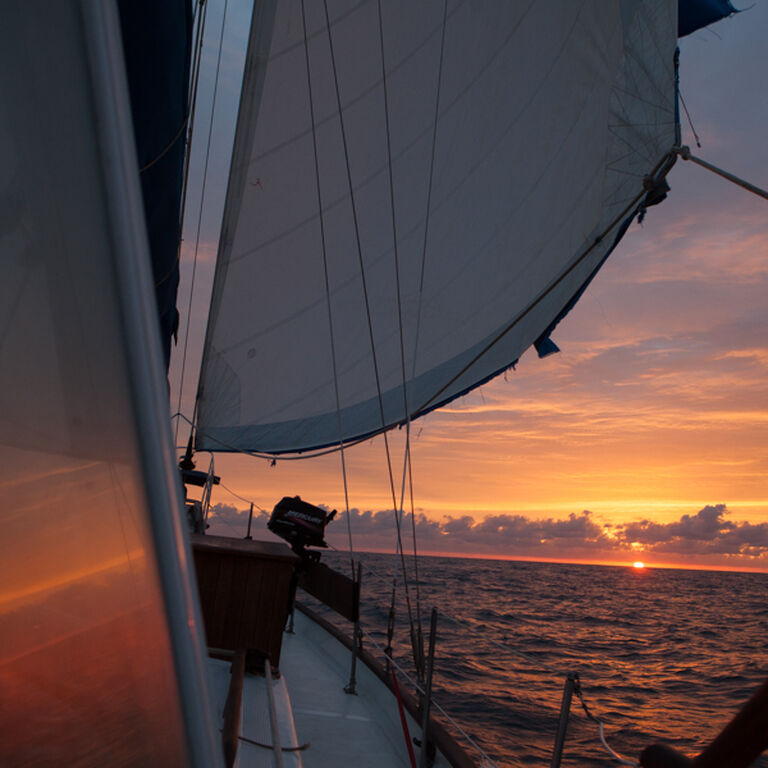 Seven Seas