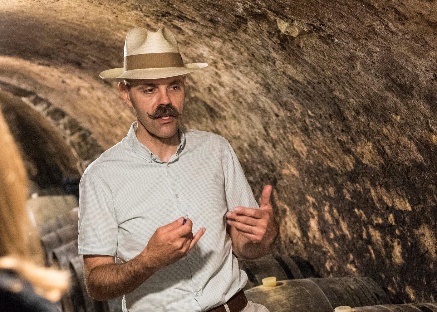 Gergely Somogyi | Tokaj Today