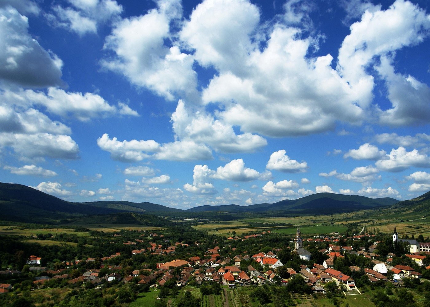 Gergely Somogyi | Tokaj Today