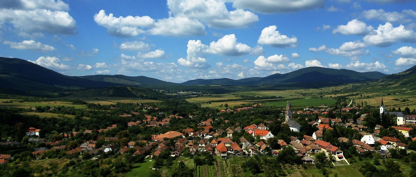 Gergely Somogyi | Tokaj Today