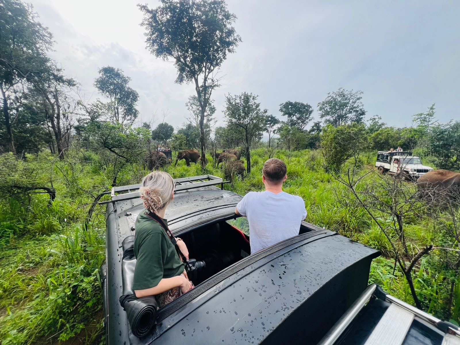 Sunshine Jeep Safari